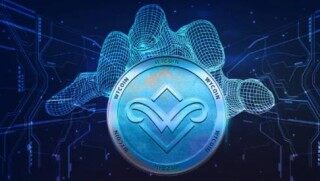 柚子币哪里可以交易 柚子币交易客户端下载