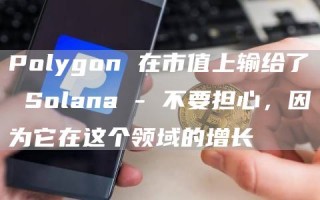 Polygon 在市值上输给了 Solana - 不要担心，因为它在这个领域的增长
