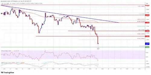 在市场加速低迷的情况下,XRP 在关键支撑位下方挣扎