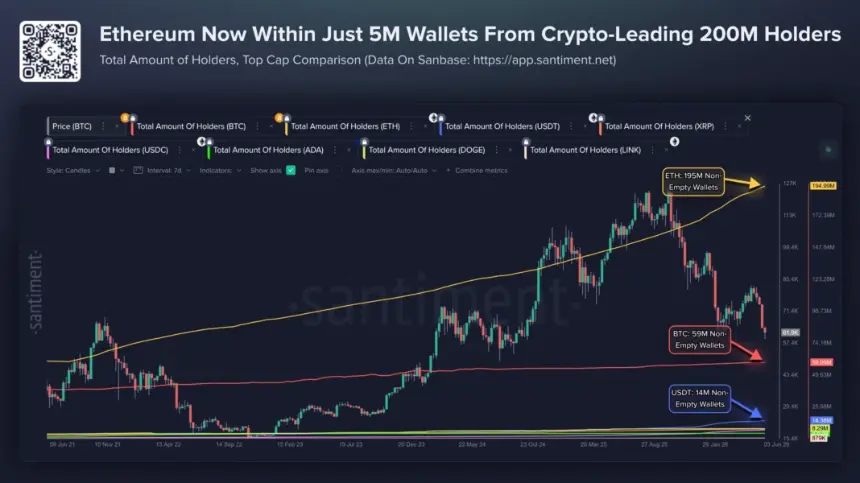Crypto Total Amount Of Holders